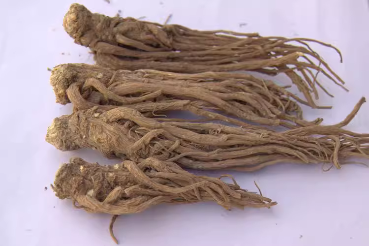 1773713880763040.jpg 24f5d0908b7a21bb7d61fd6b4695f9fa_O1CN018qjv0S1EZffLIJBIA_!!2212486260366.jpg