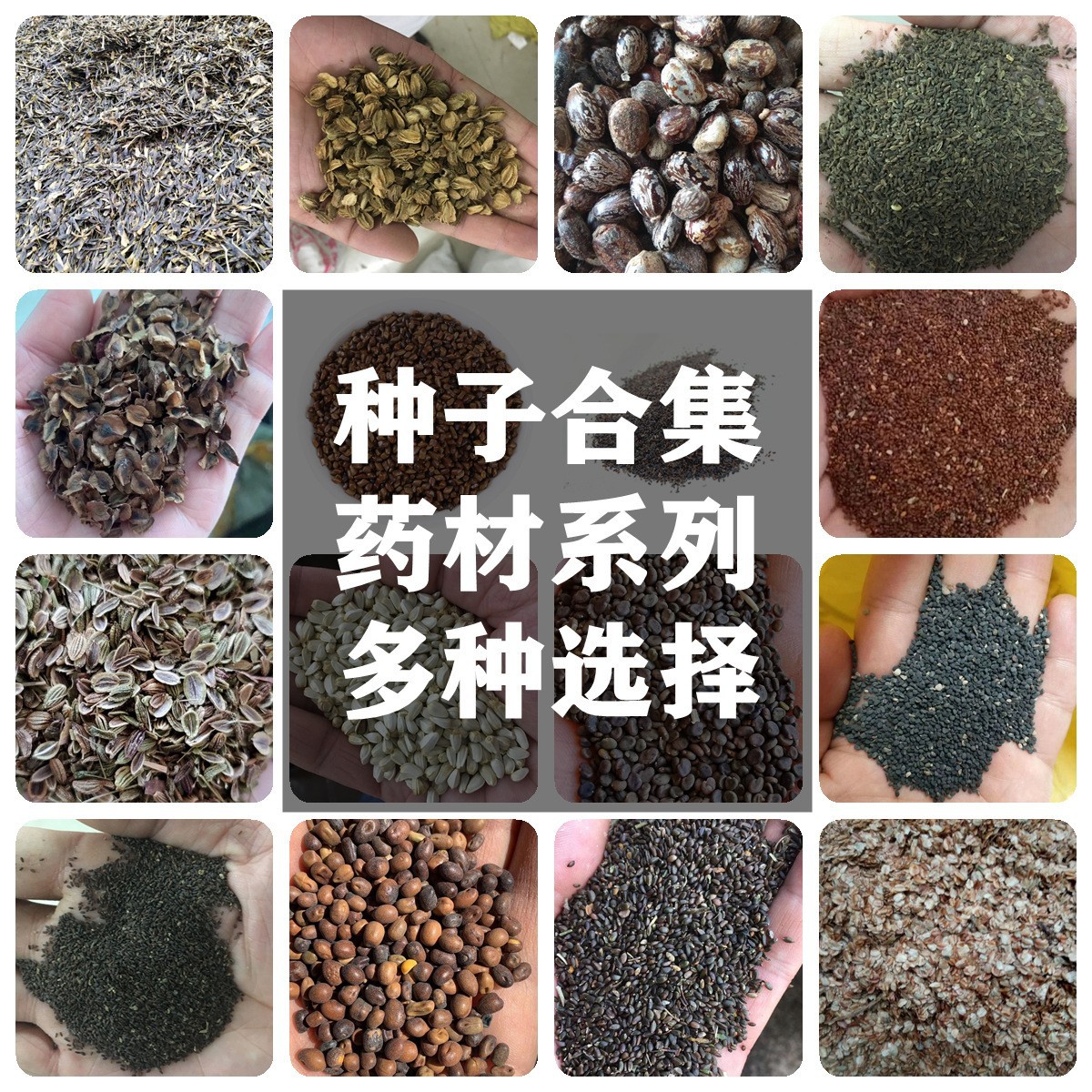 1773713888112133.jpg 900138d713bc8610443ce35e99b667c4_O1CN01TdyMVz1Dal1oOqBIv_!!2213340450233-0-cib.jpg