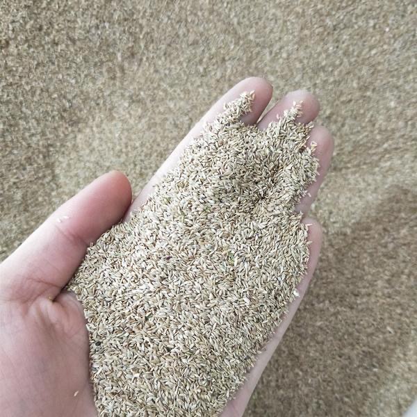 1773714233525418.jpg 73ab4bd6e4b9a86799397dcbf8a5284a_O1CN01A4d2P92ALF4mZl0xE_!!2215572038186-0-cib.jpg